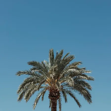 Del Arenal Appartement *